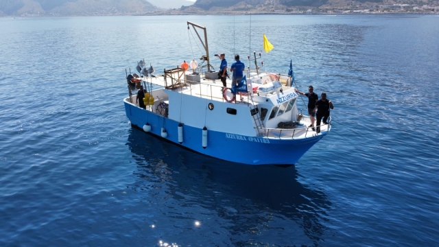 excursión en barco 
