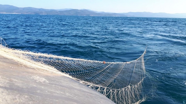  pesca en el mar azul de toscana 