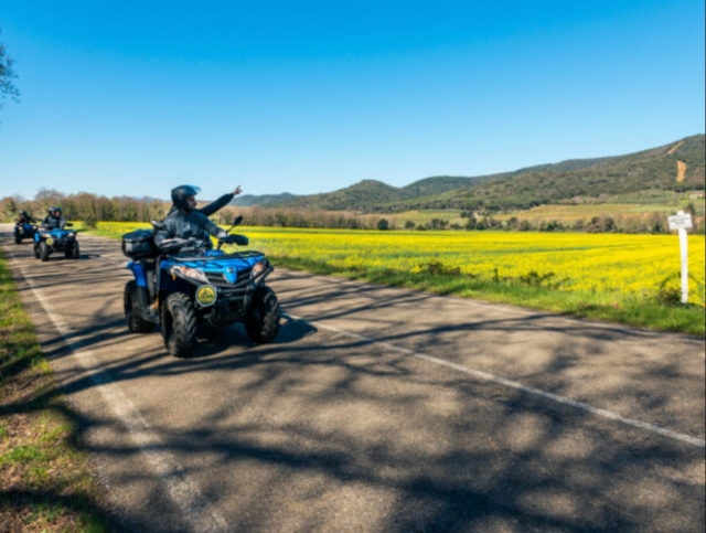  cuatrimoto en la carretera