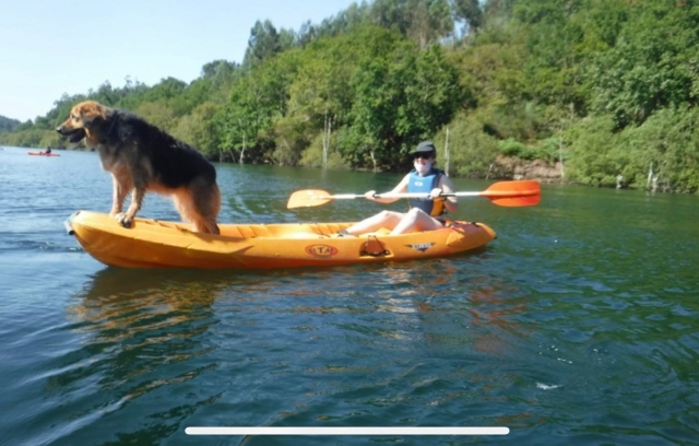  También apto para mascotas 