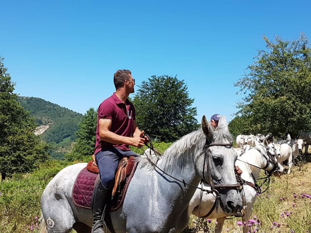  Duranle el paseo 