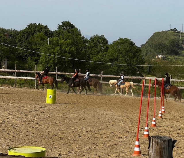  La lección de equitación