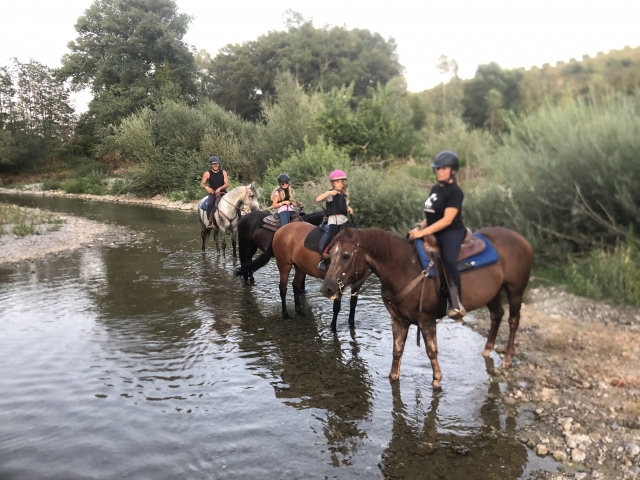 En el río 
