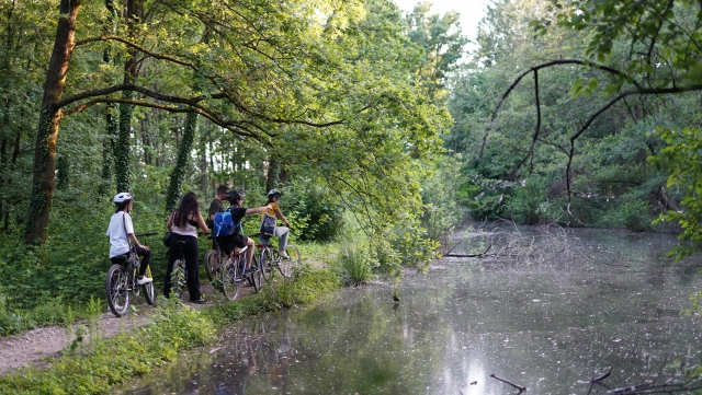  Excursión en bicicleta de cerro 