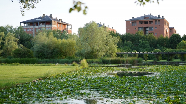  Hermosos parques 