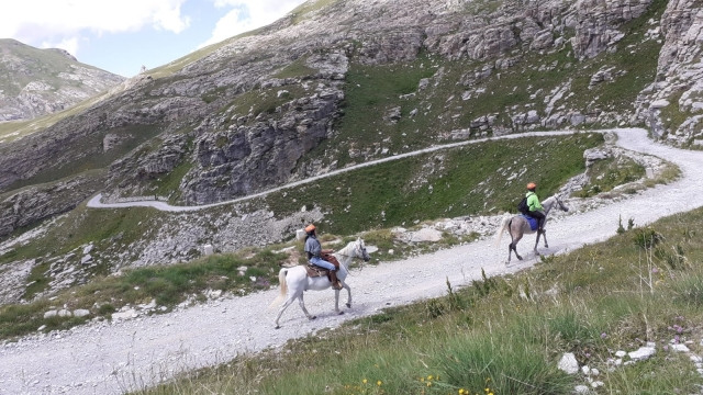  paseo a caballo 
