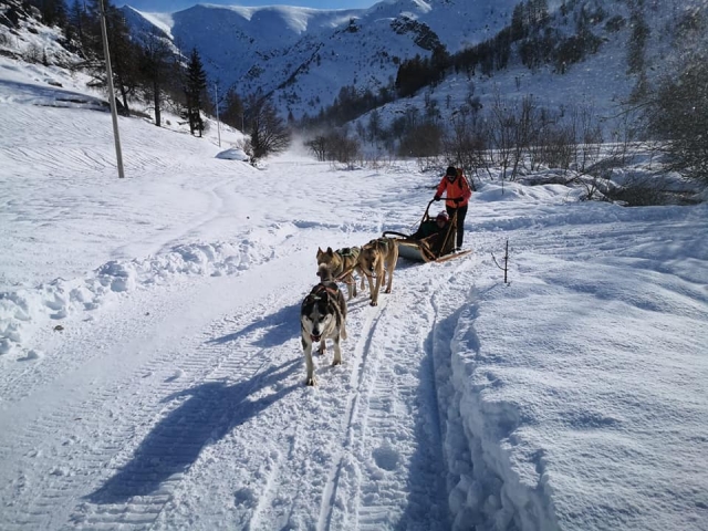  trineos tirados por perros en invierno en Cuneo 
