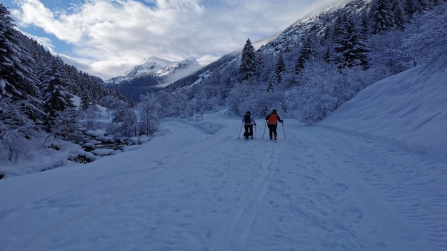  Nuestros excursionistas duranle la camicrema con raquetas de nieve 