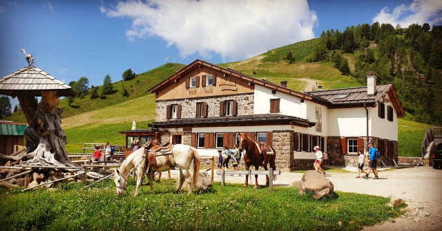 el refugio en la temporada de verano 