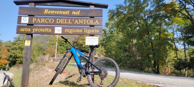  Territorio de actividad de Liguria 