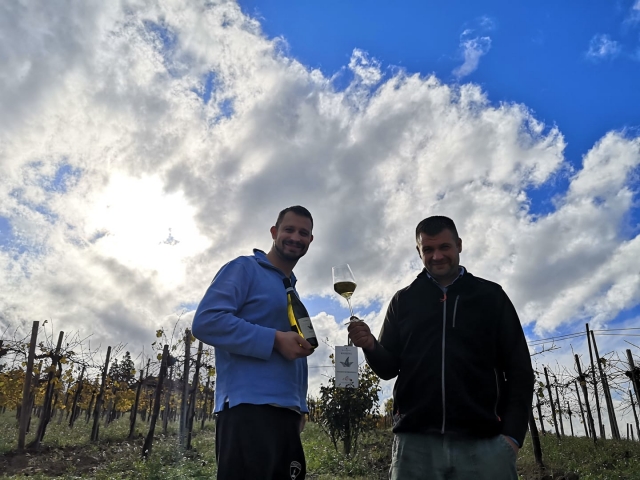  camarra de vinos 