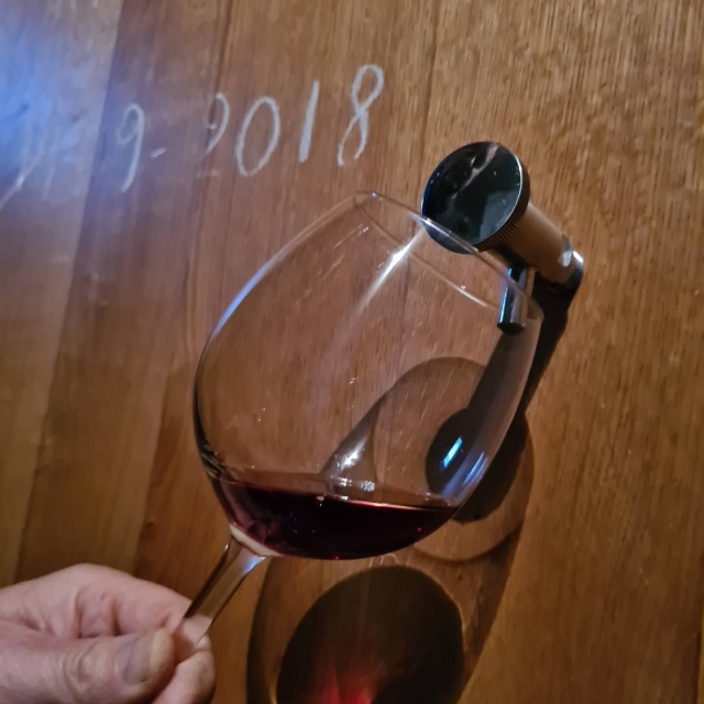  Pruebe nuestros vinos 