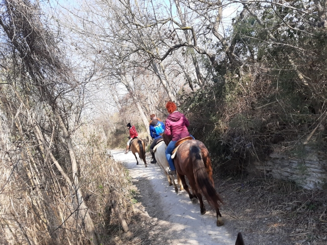  Pbaños por senderos arbolados 