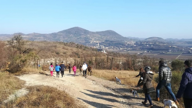  paseo inmerso en la naturaleza 