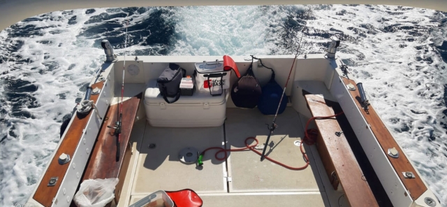  200627960_100728565596925_1087383427558165637_n (1) (1) 