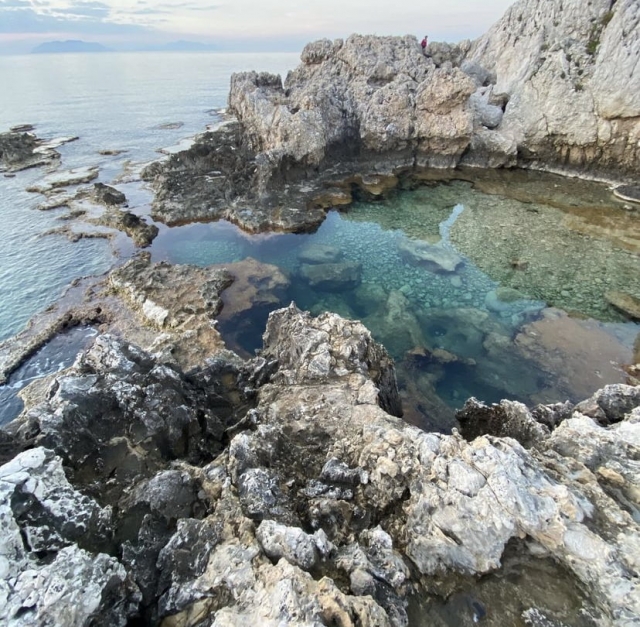 Sky Sea Charter Logo 