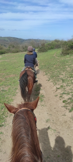  Outstrette 