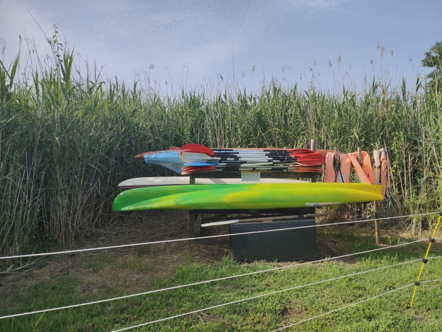 canoa almacen 