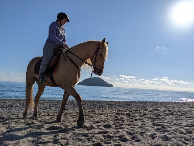 Galopando por la playa 