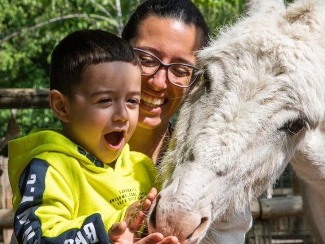 Los animales le esperan en Leolandia 