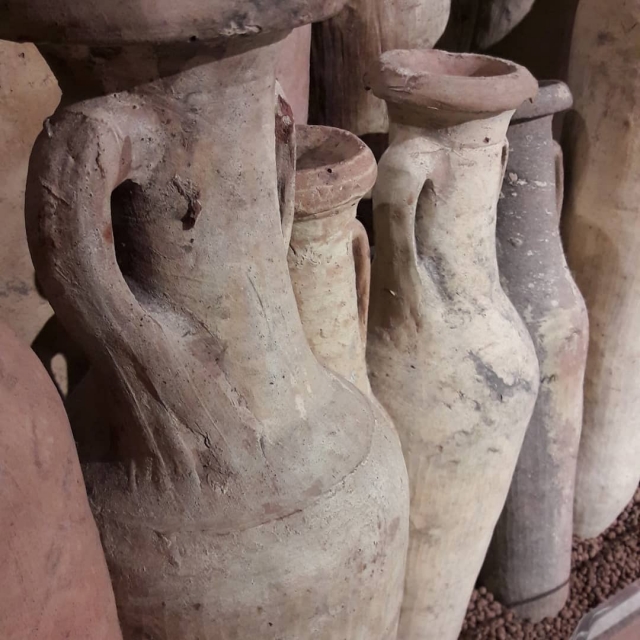  Las distintas ánforas encontradas 
