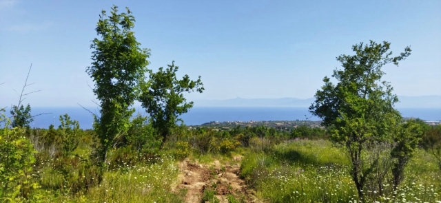  En medio de la naturaleza de Zambrone 