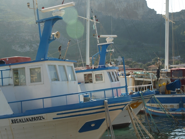  Renta de barcos 