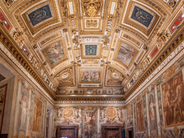  Techos con frescos en el interior del castillo 