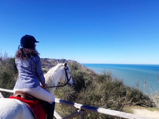  En la silla 