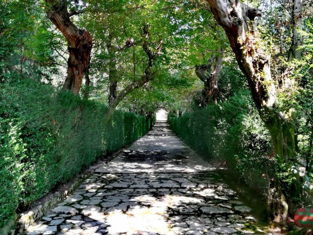  Jardín histórico 