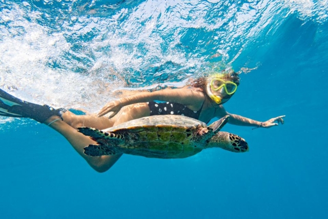  Snorkel 