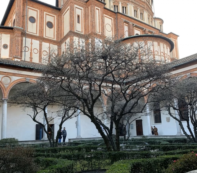  Patio interior 