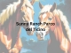 Sunny Ranch Parco del Ticino Asd
