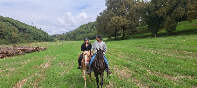 Paseo en pareja 