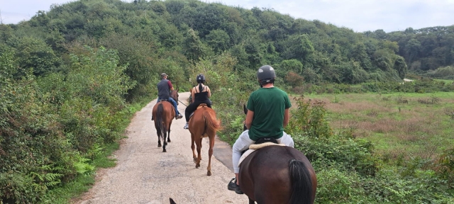  Paseo en la naturaleza 