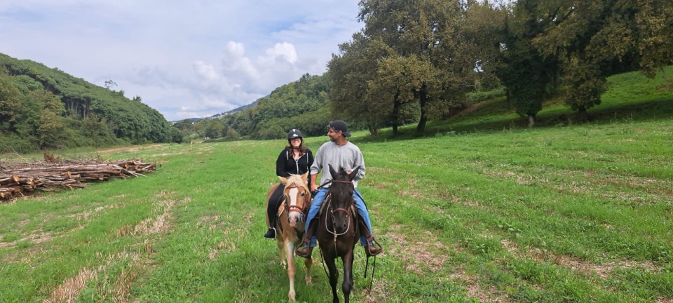 Paseo en pareja Paseo en pareja