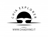 Chia Diving Explorer