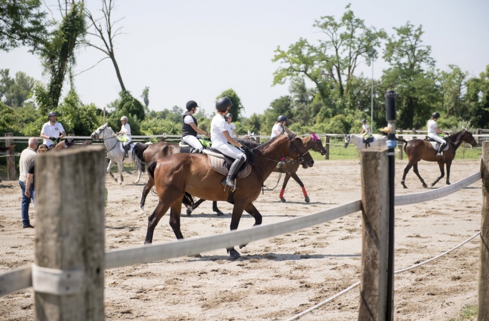  Lección y diversión 