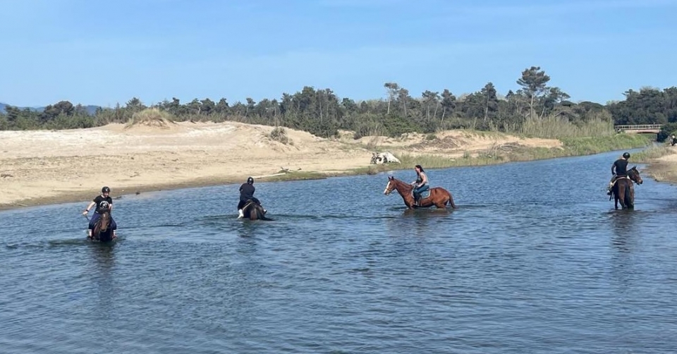 En el mar de Versilia   En el mar de Versilia