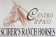 Scirer's Ranch Horses Scirer's Ranch Horses