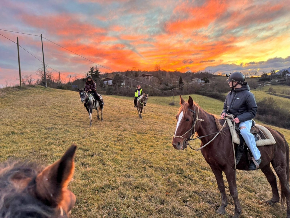 Emociones únicas  Emociones únicas