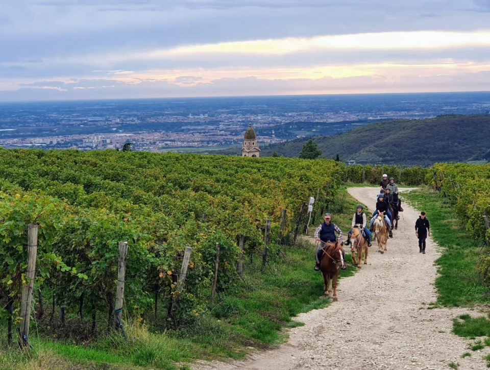  Las colinas que rodean la escuela de equitación 
