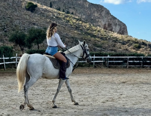  Logotipo de la empresa 