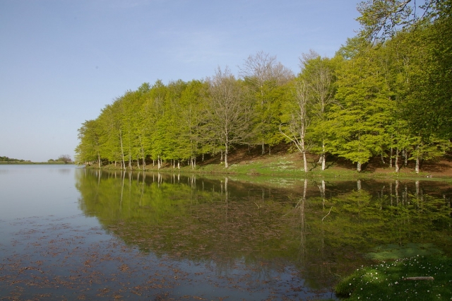  Paisaje verde de la reservación natural de Santa Maria del Focallo 
