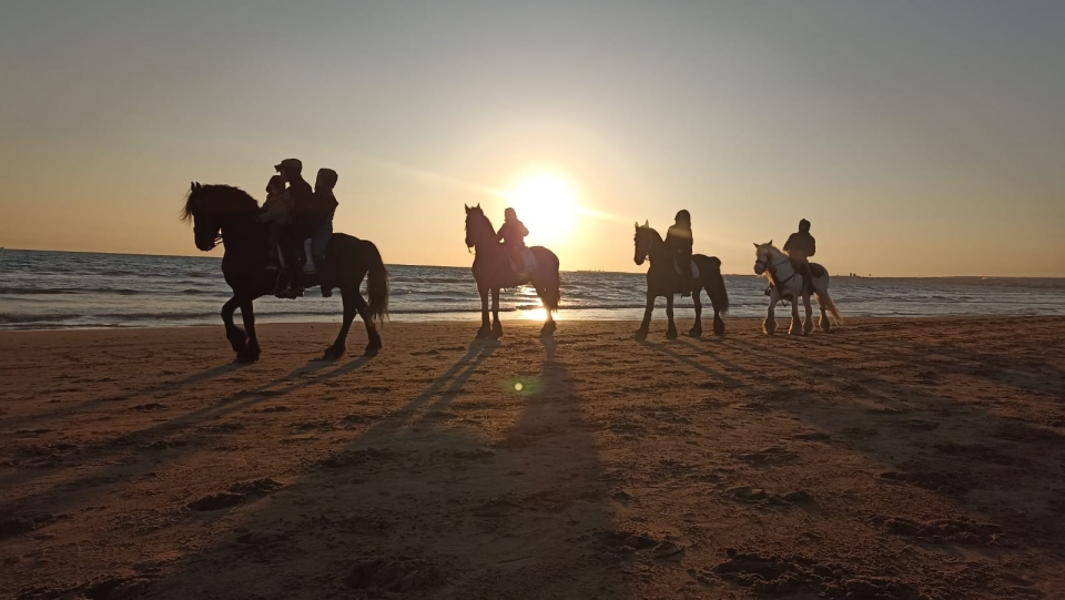  Pbaños a caballo al atardecer en las playas de Sicilia
