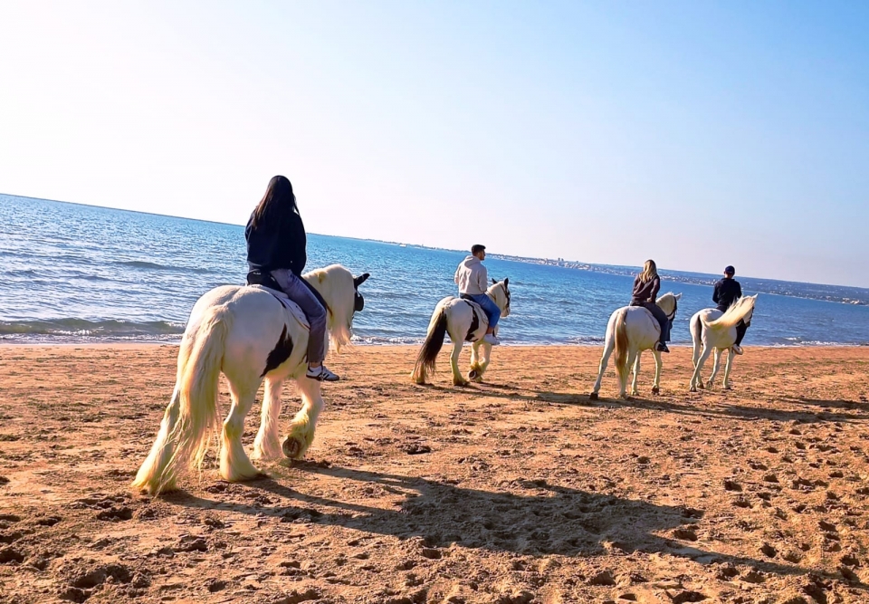  Pbaños a caballo entre la playa y la reservación 