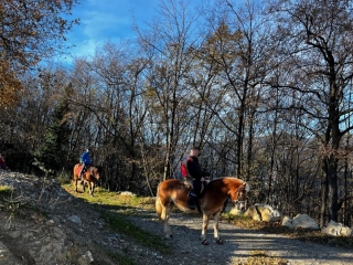 Centro Equestre il Colore dei Sogni