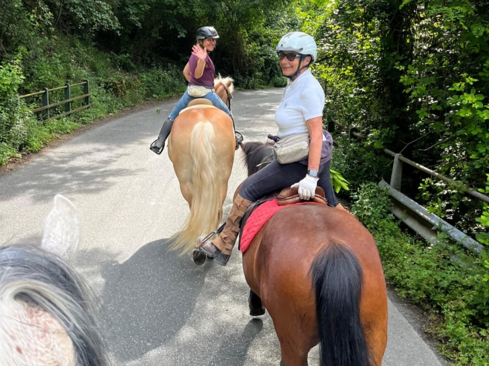  Pbaños a caballo por el verde bosque 