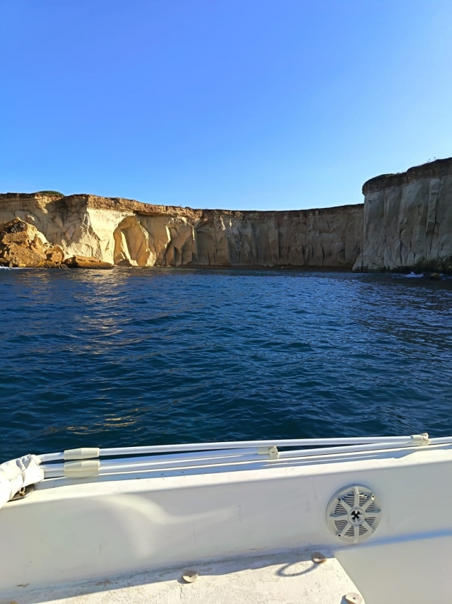  IMG-20251109-WA0009(1) 