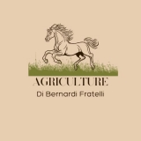 Azienda agricola Cavaiera di Bernardi Fratelli